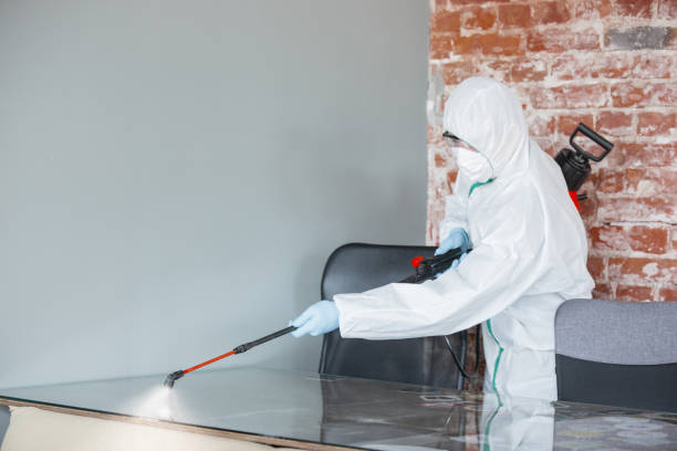 Best Mold Damage Restoration in Beverly, MA