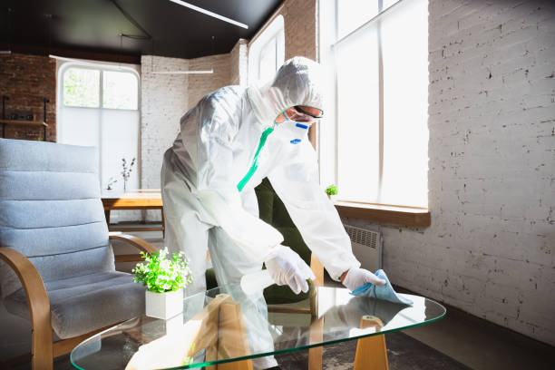 Best Industrial Mold Remediation in Beverly, MA