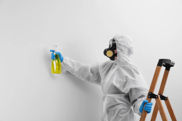 Best Commercial Mold Inspection in Beverly, MA