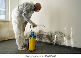 Best Mold Prevention Services in Beverly, MA